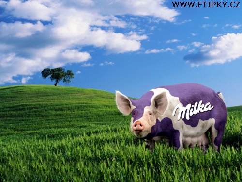 prasnice_milka.jpg